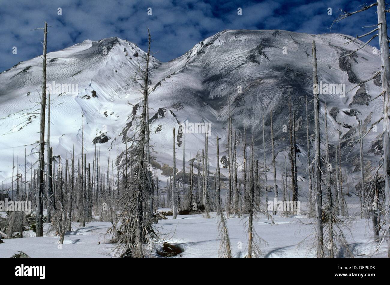 St. Helens Ash High Resolution Stock Photography and Images - Alamy