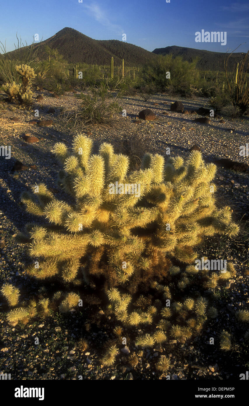 Table top wilderness hires stock photography and images Alamy