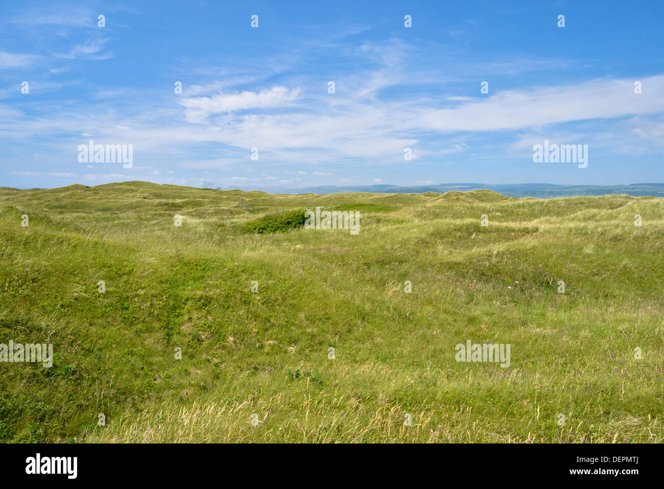 Dune slacks at Kenfig Nature Reserve, South Wales Stock Photo - Alamy