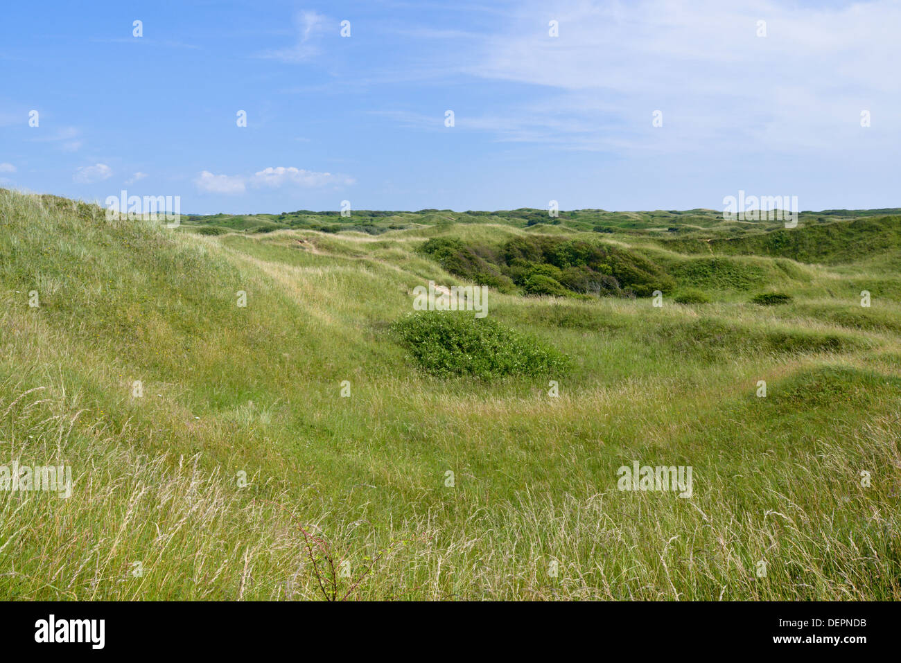 Dune slacks at Kenfig Nature Reserve, South Wales Stock Photo - Alamy