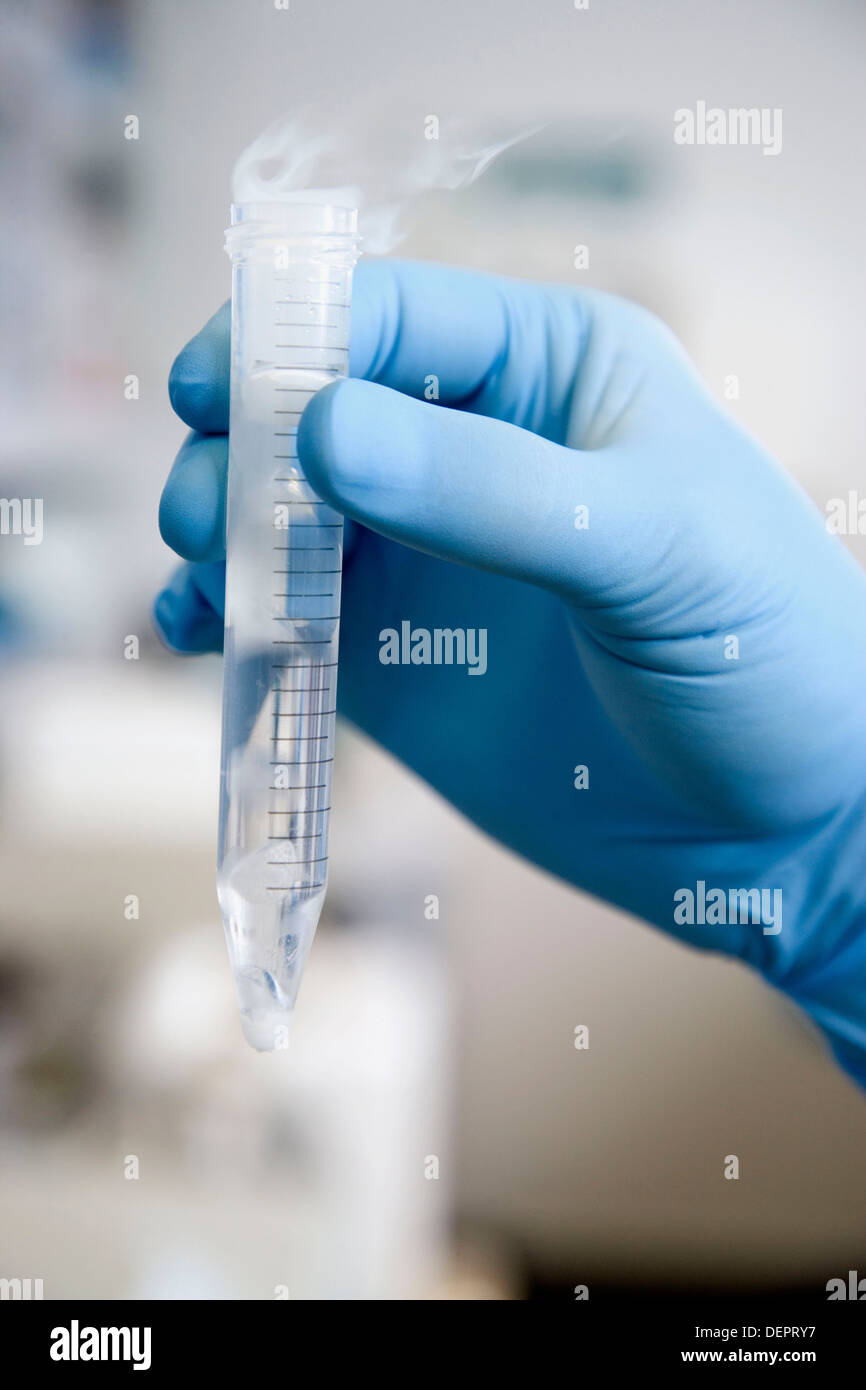 Dry ice for sample freezing culture room biopharmaceutical lab