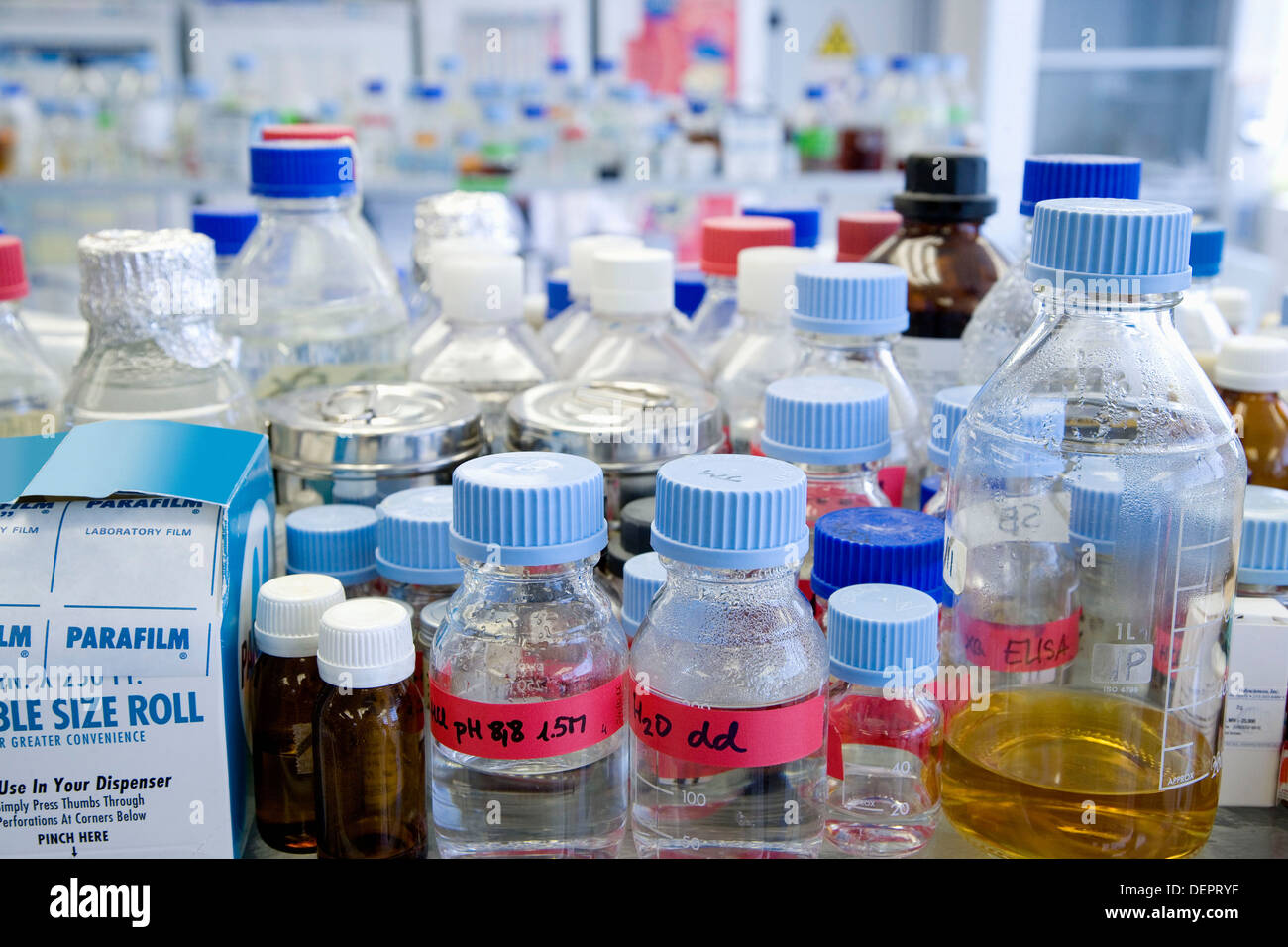 Biopharmaceutical lab development of new therapeutic molecules based on