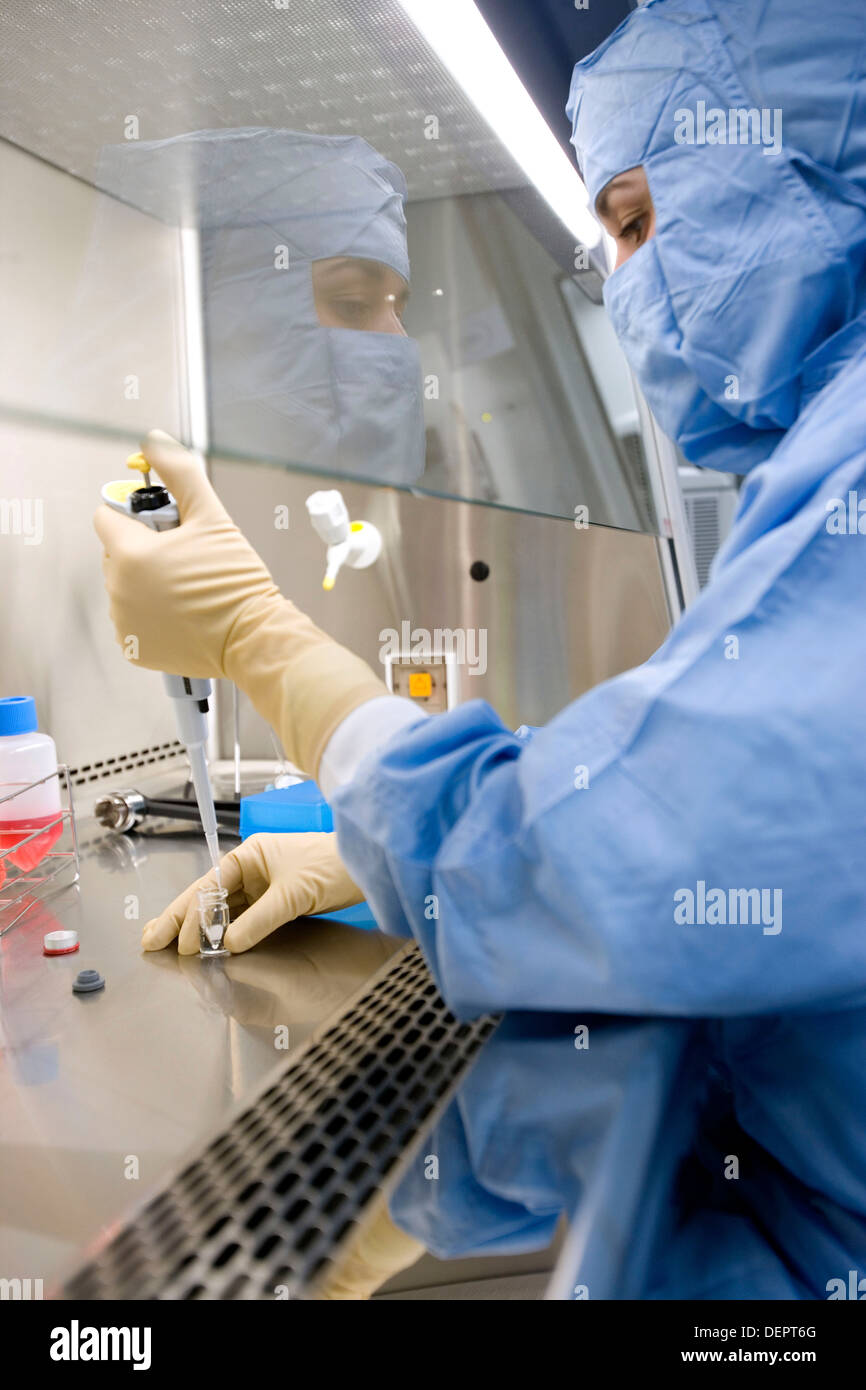Clean room manipulating samples with pipette laminar flow cabinet biopharmaceutical lab development and production of Stock Photo