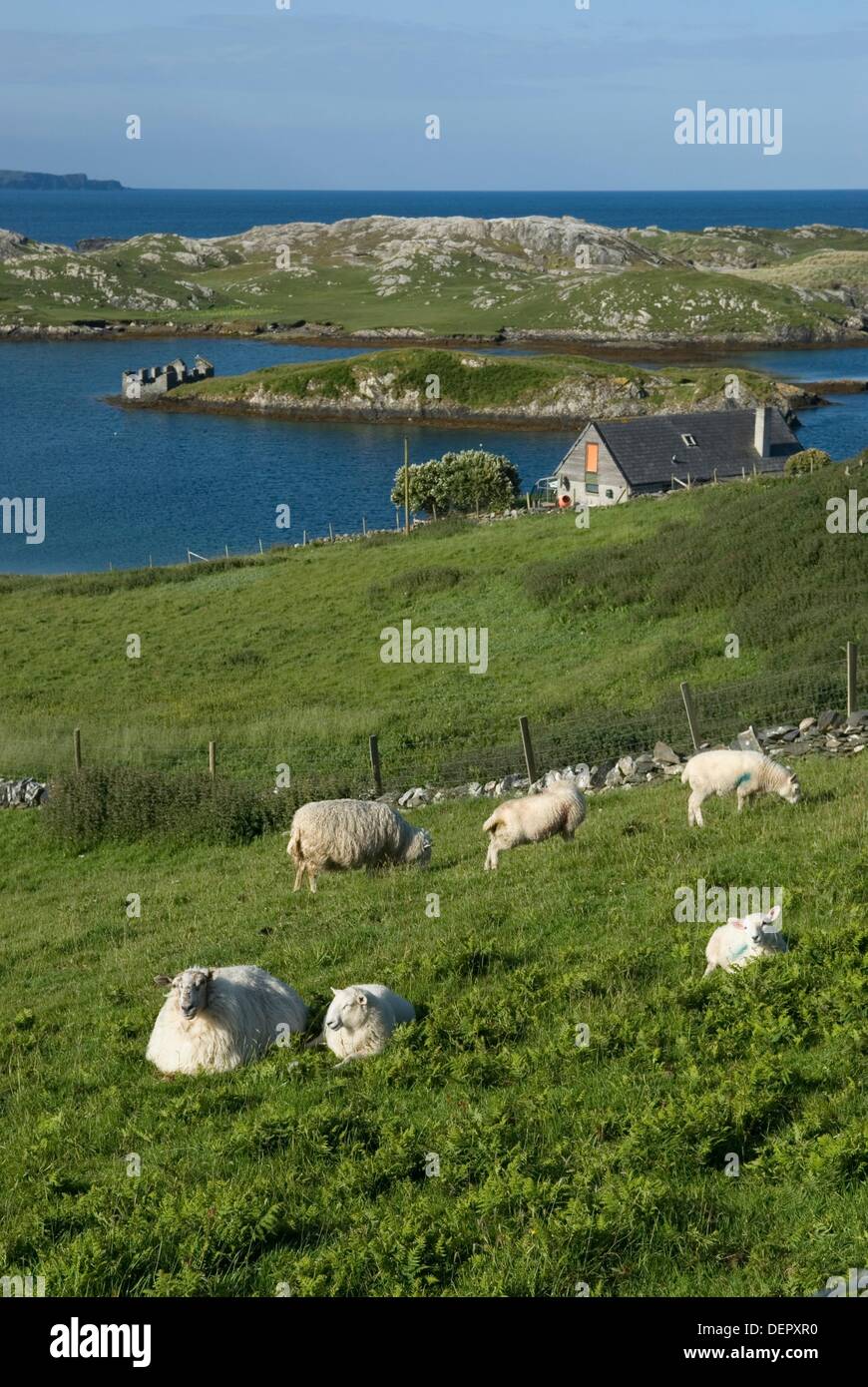 Inishbofin island, Connemara, County Galway, Ireland, Western Europe
