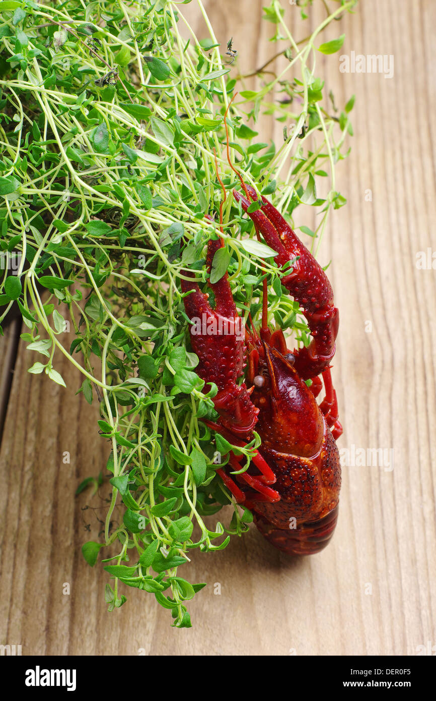 Crawfish and thyme herb on a wooden table Stock Photo