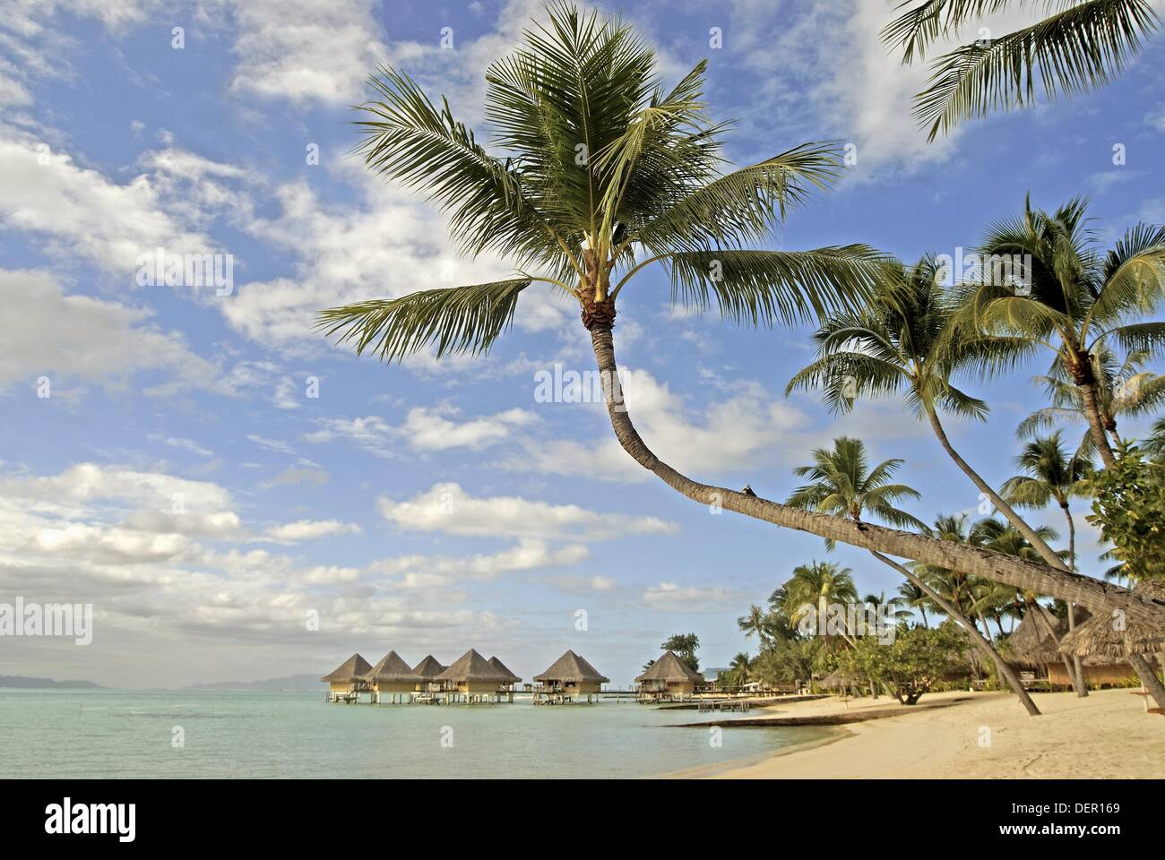 Plage Bora Bora Iles De La Societe Archipel De La Polynesie Francaise Ocean Pacifique Sud Stock Photo Alamy