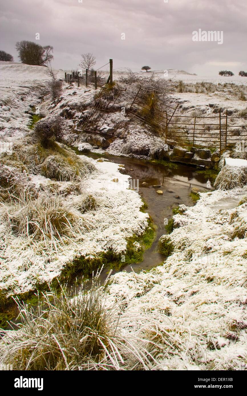 Greenery protruding from the snow by the banks of a small stream Stock Photo