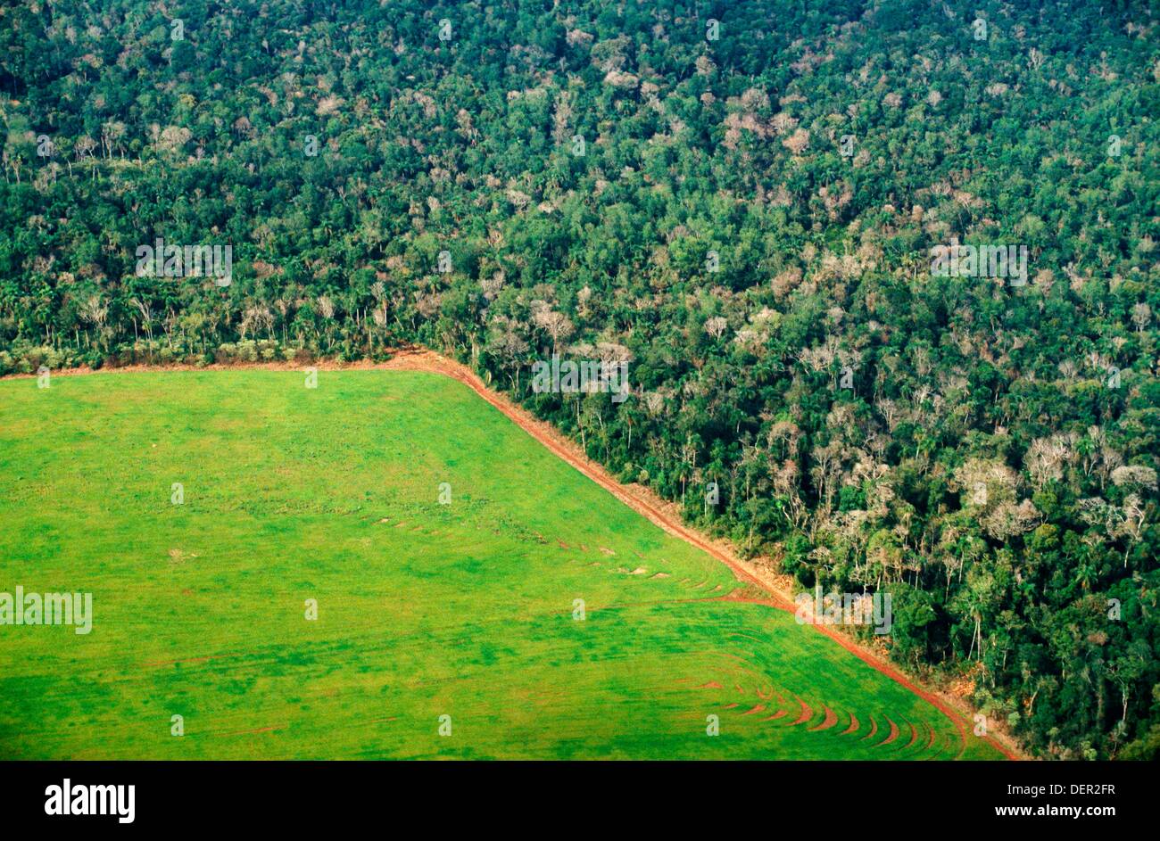 Deforestation of the Amazon jungle as seen from the air, Amazon rainforest, Brazil Stock Photo