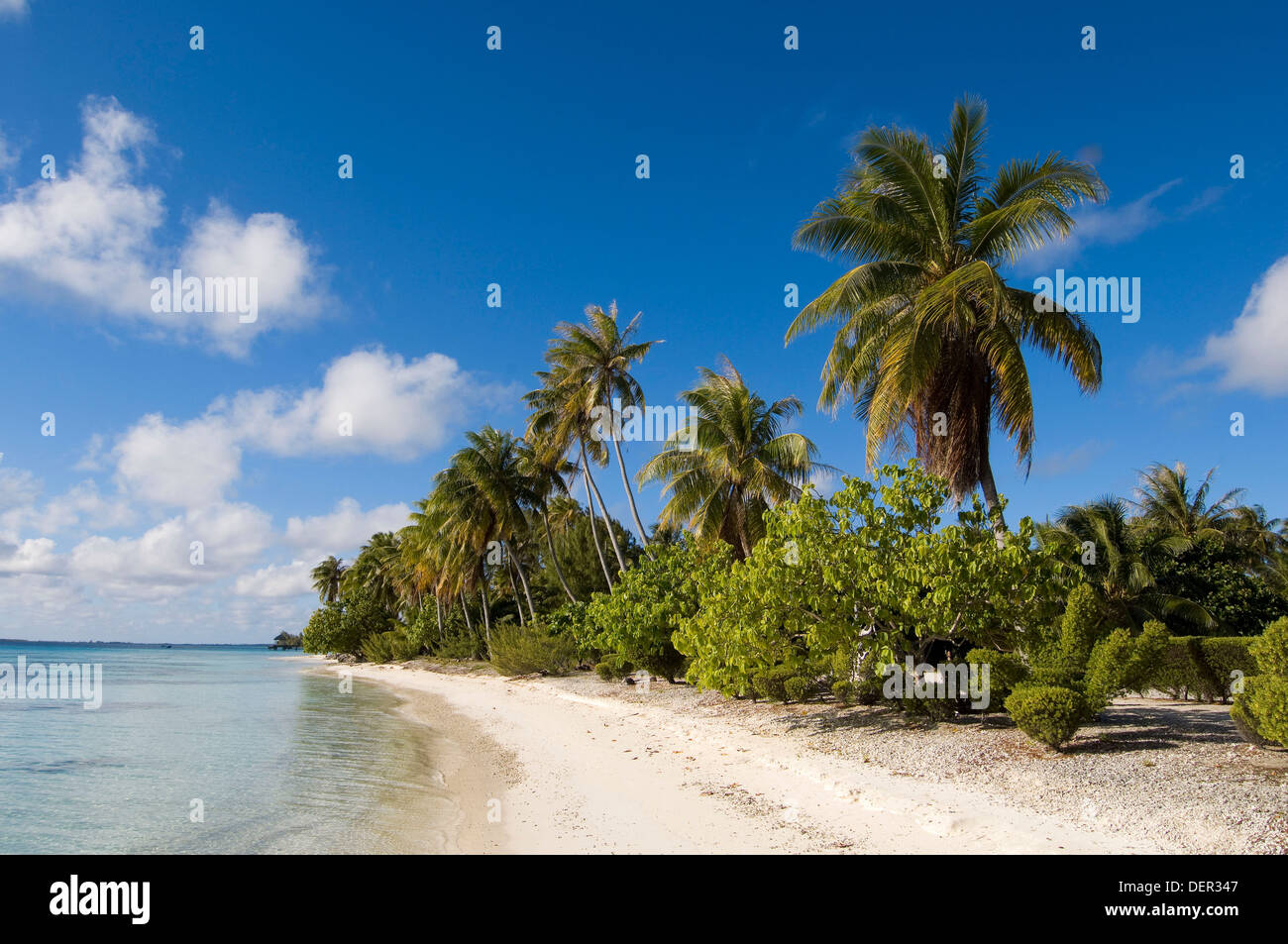 Fakarawa, Tuamotu Archipelago, French Polynesia Stock Photo - Alamy