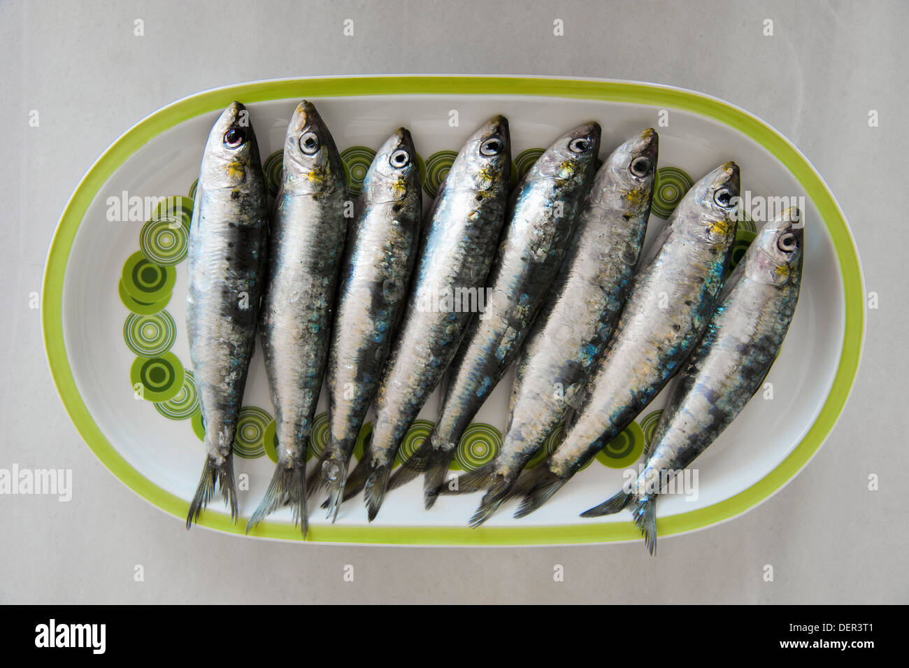 eight raw sardines (Sardina pilchardus) on plate Stock Photo