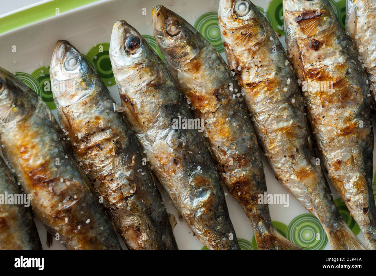 Sardine sardines food fish grilled 8 hires stock photography and