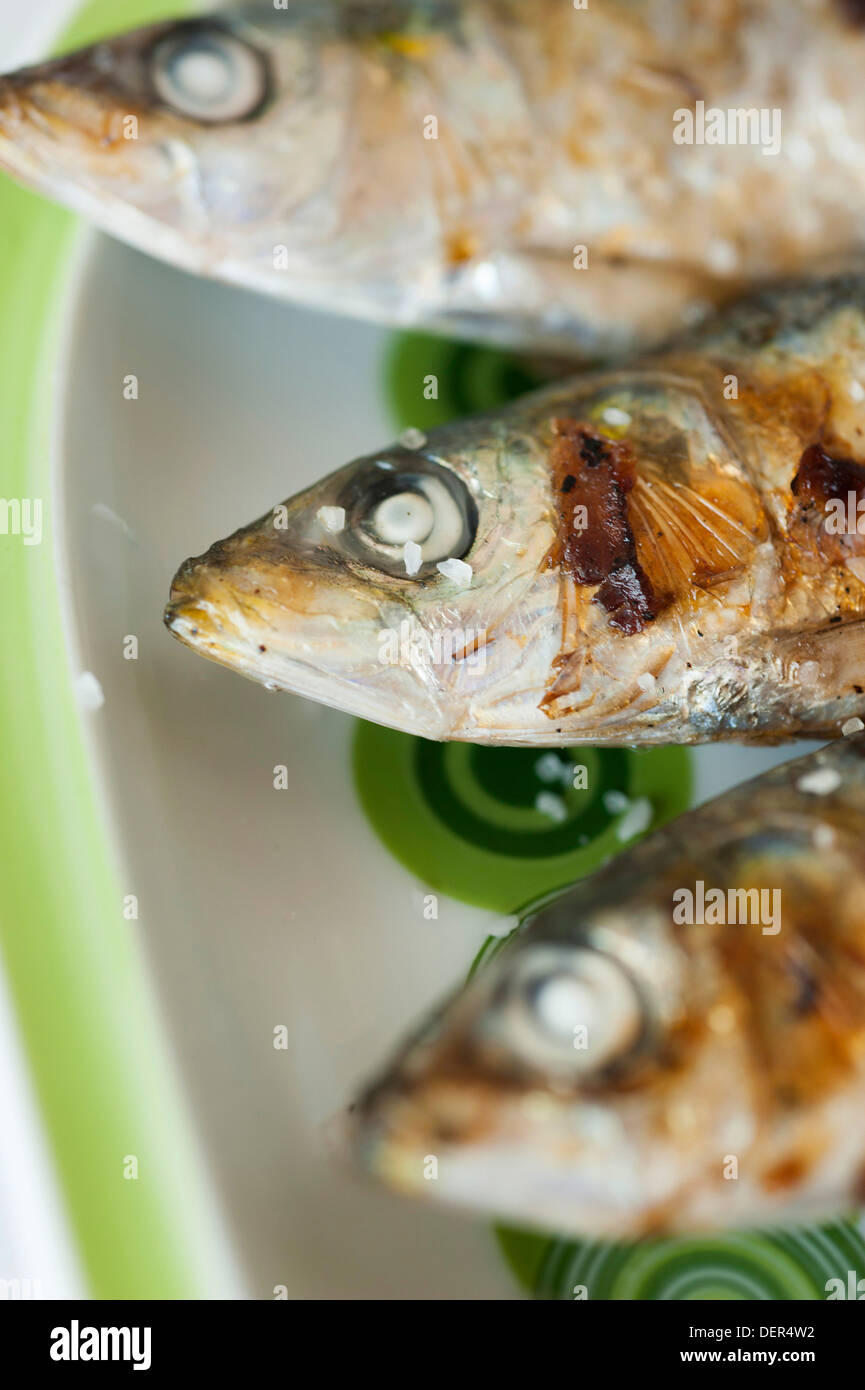 three sardines (Sardina pilchardus) on plate Stock Photo