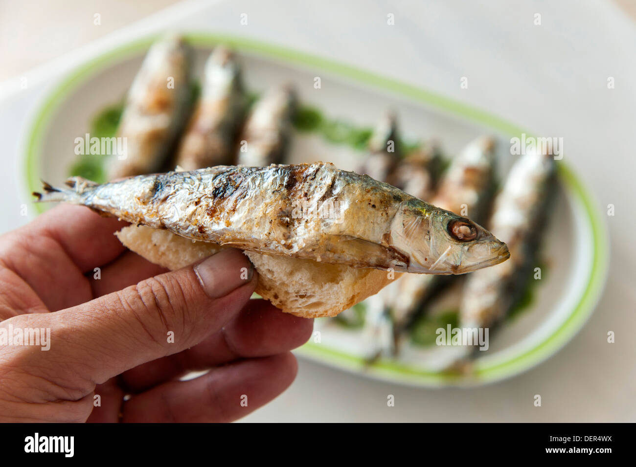 male hand holds piece of bread with freshly grilled sardine (Sardina pilchardus) . Plate with 7 sardines in background Stock Photo