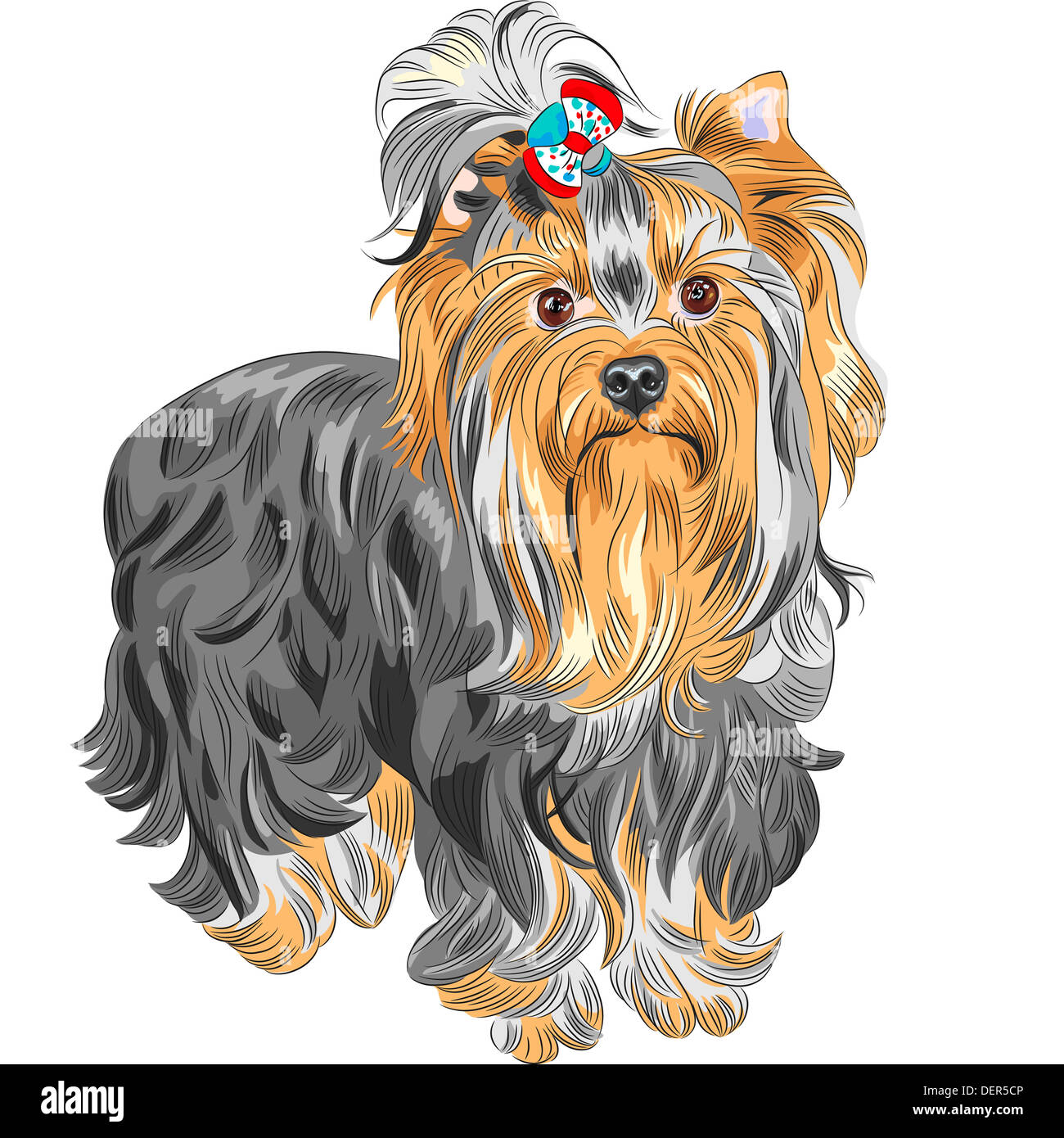 color sketch serious Yorkshire terrier red and black with bow Stock Photo