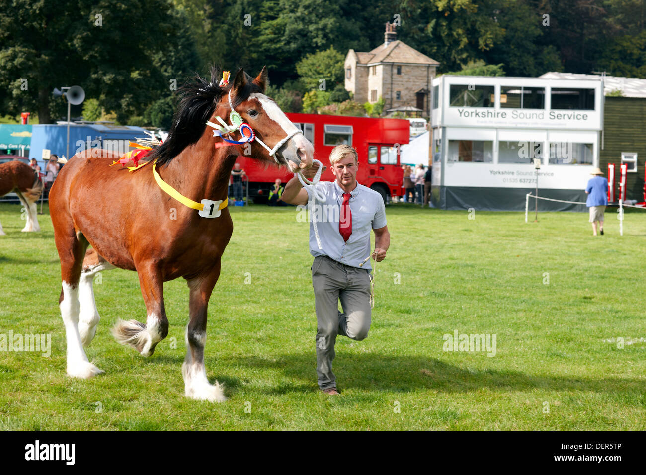 Nidderdale Show, Pateley Bridge, North Yorkshire, UK. 23rd Sep, 2013. A successful competitor in the Heavy Agricultural Horse category does a lap of honour in the warm autumn sunshine as the good weather brings in the crowds to the Nidderdale Show. The Annual Nidderdale Show, held in the picturesque surrounds of Bewerley Park, Pateley Bridge, is one of the county’s foremost agricultural shows. It regularly attracts crowds of 20,000 and traditionally marks the end of the agricultural show season. Credit:  Christina Bollen/Alamy Live News Stock Photo