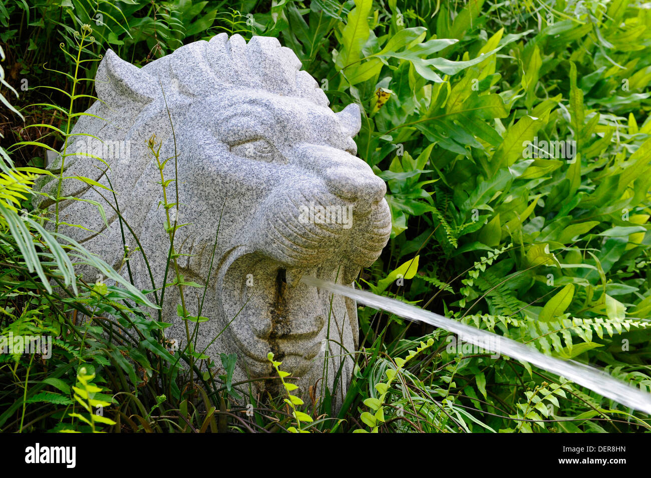 Lions head fountain hires stock photography and images Alamy