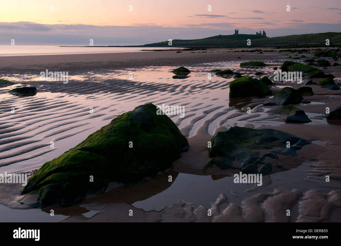 Dunstaborough Castle and Embleton Bay at dawn. Northumberland, UK Stock Photo