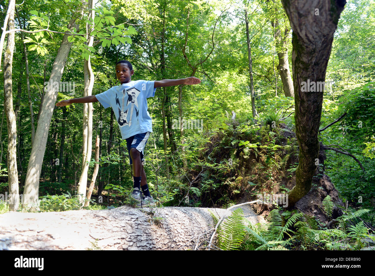 Black boy, 11,  from New Haven explores the woods in a hike in West Rock Park. Stock Photo