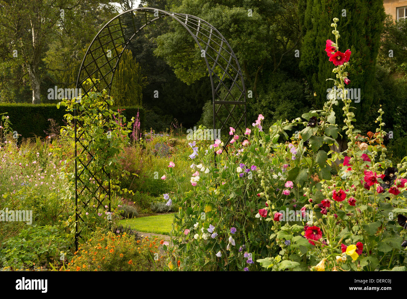 The garden at Howick Hall, Alnwick, Northumberland, UK Stock Photo