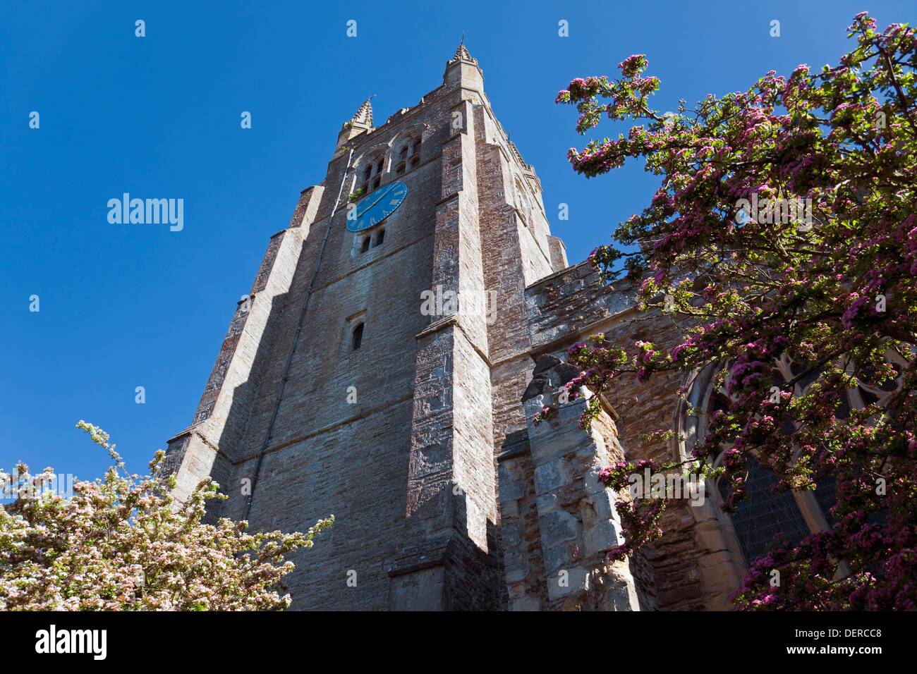 England Kent Tenterden St Mildred´s Church Tower Stock Photo Alamy