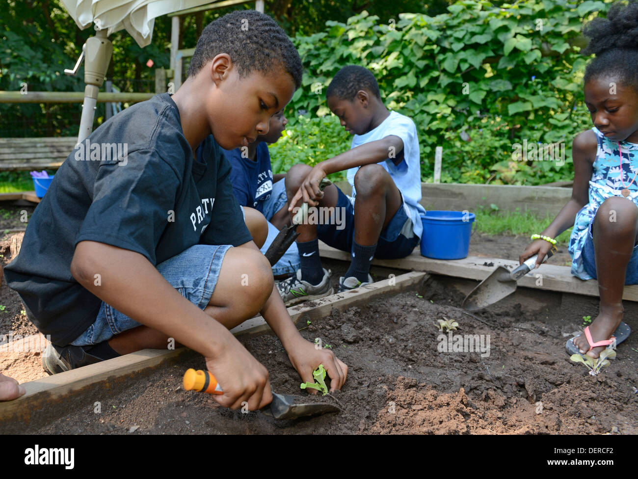 Black children from New Haven practice planting lettuce at Common Ground High school, an environmental charter school in city. Stock Photo