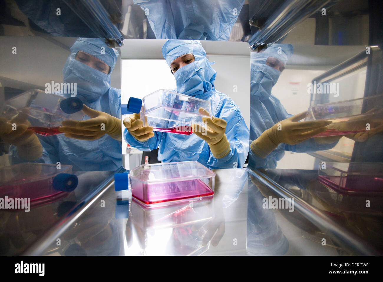 SAS window clean room DMEM (DulbecoÂ´s Modified EagleÂ´s Medium