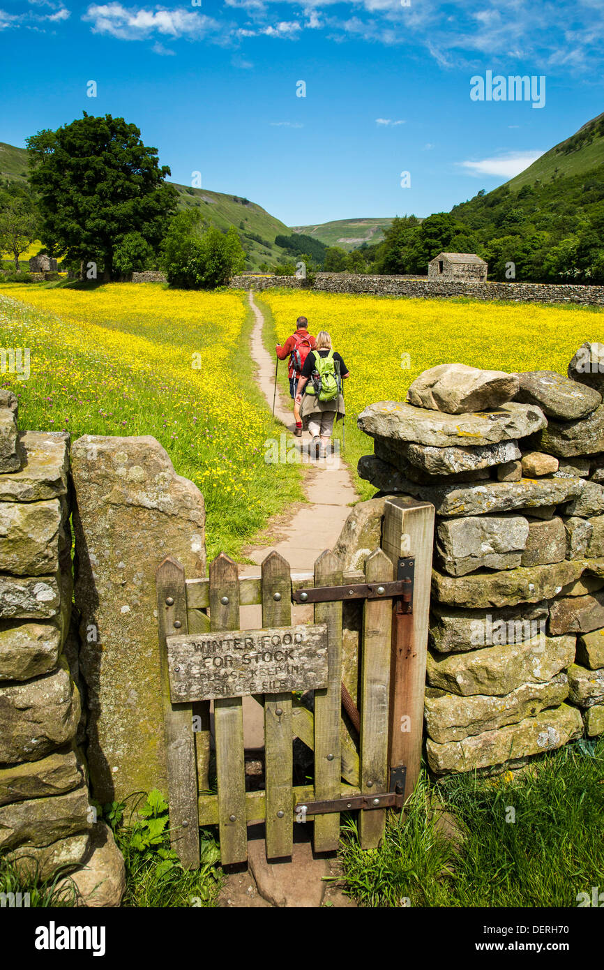 Walkers near Muker, Yorkshire Dales National Park Stock Photo