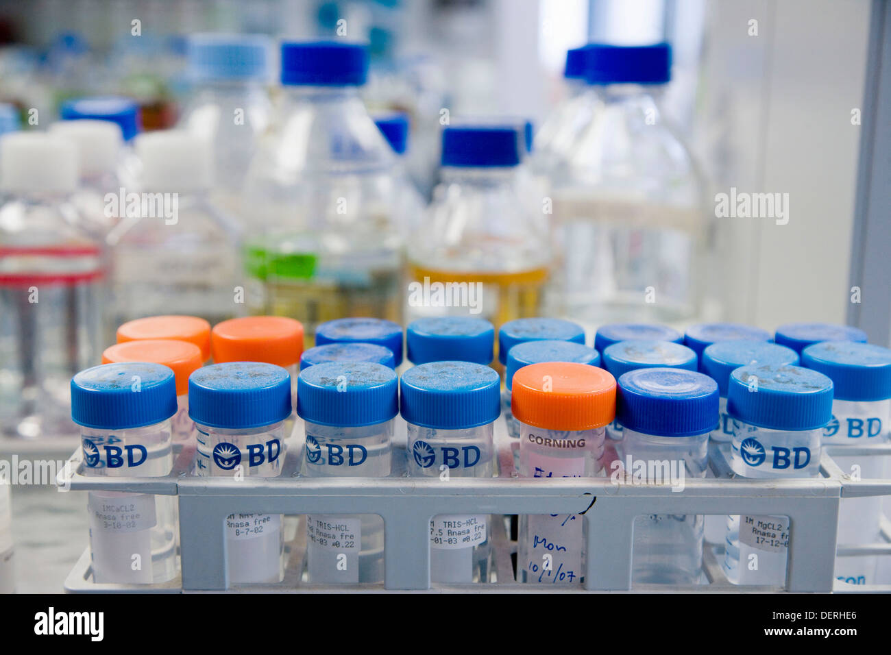 Biopharmaceutical lab, development and production of innovative drugs using adult stem cells, Cellerix, Grupo Genetrix, Madrid Stock Photo