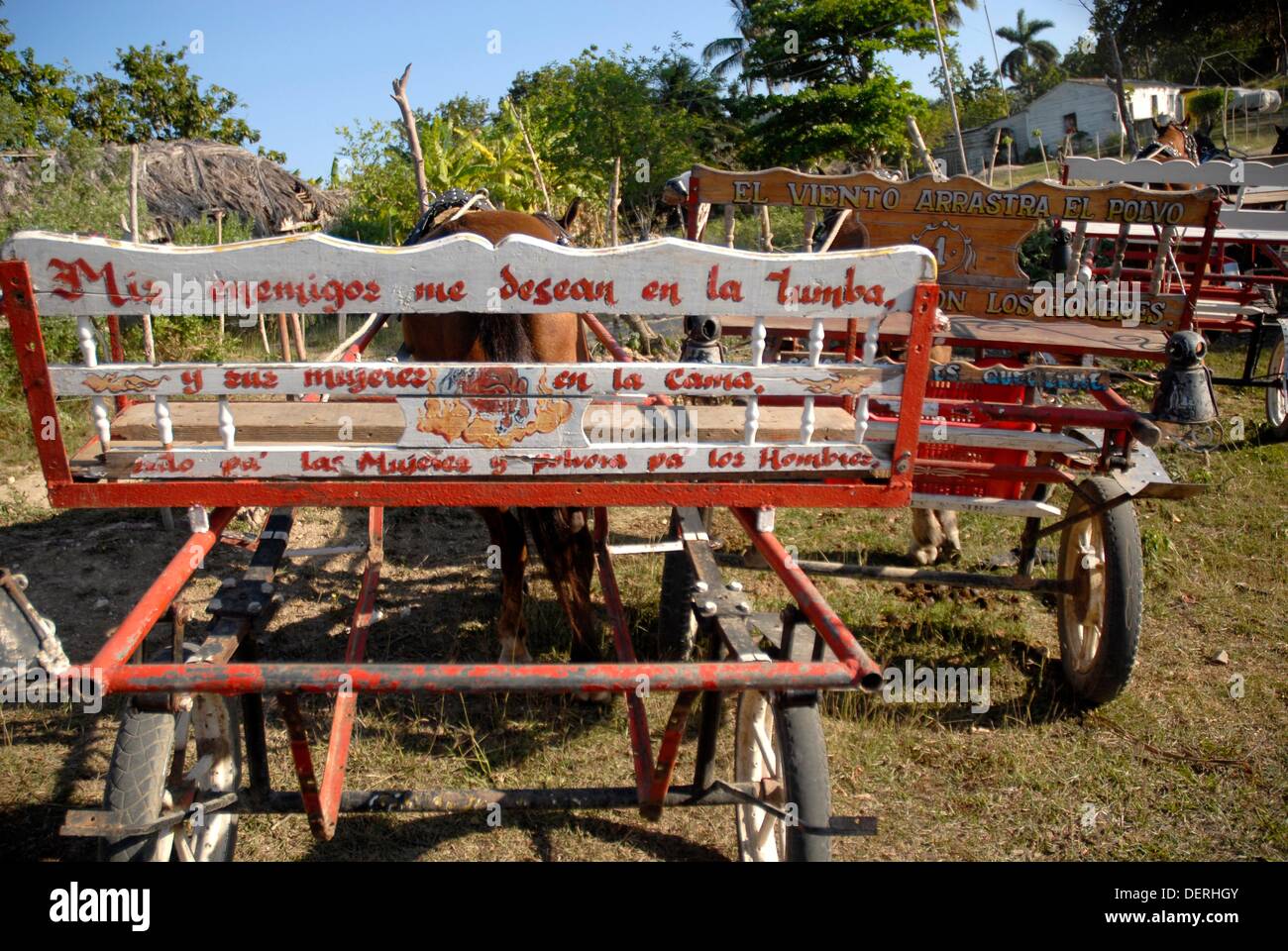 Horse, wagon, harness, horses, wagons, carts, tack, trappings, Cuba