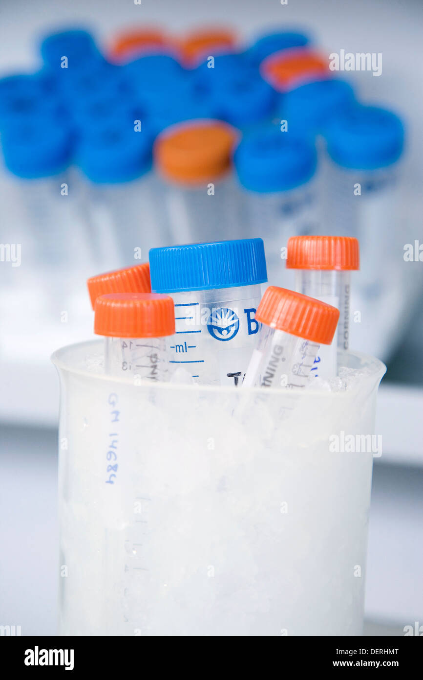 Dry ice for sample freezing culture room biopharmaceutical lab