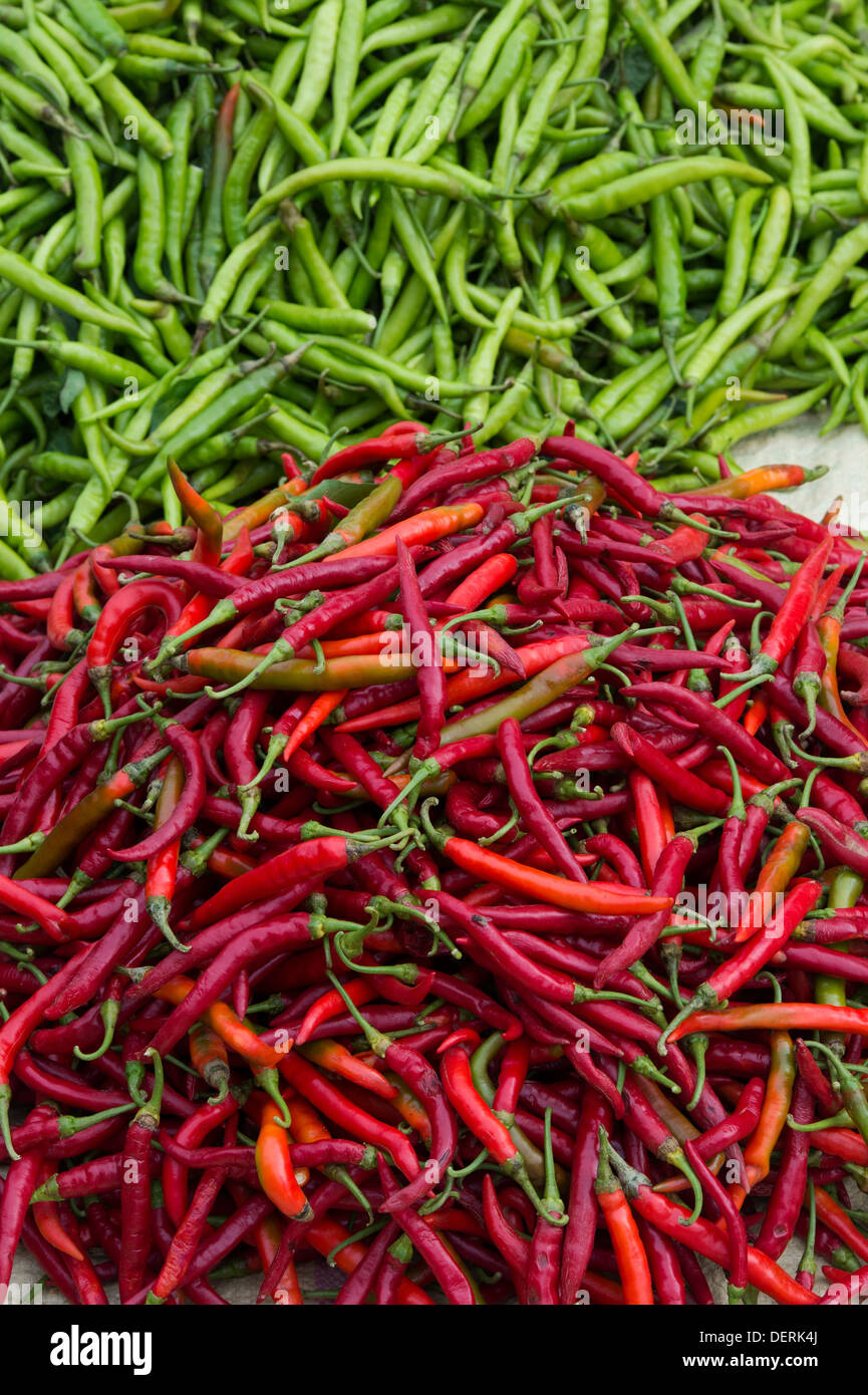 Fresh red and green chillis at an Indian market. Andhra Pradesh, India Stock Photo