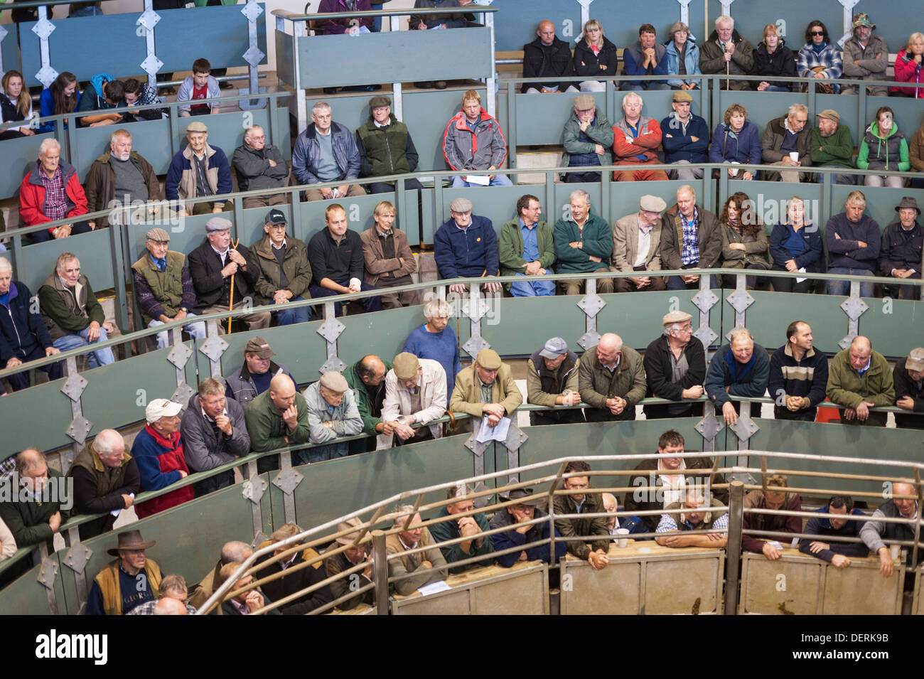 Farmers and buyers seated in the auction ring at Bagshaws livestock and