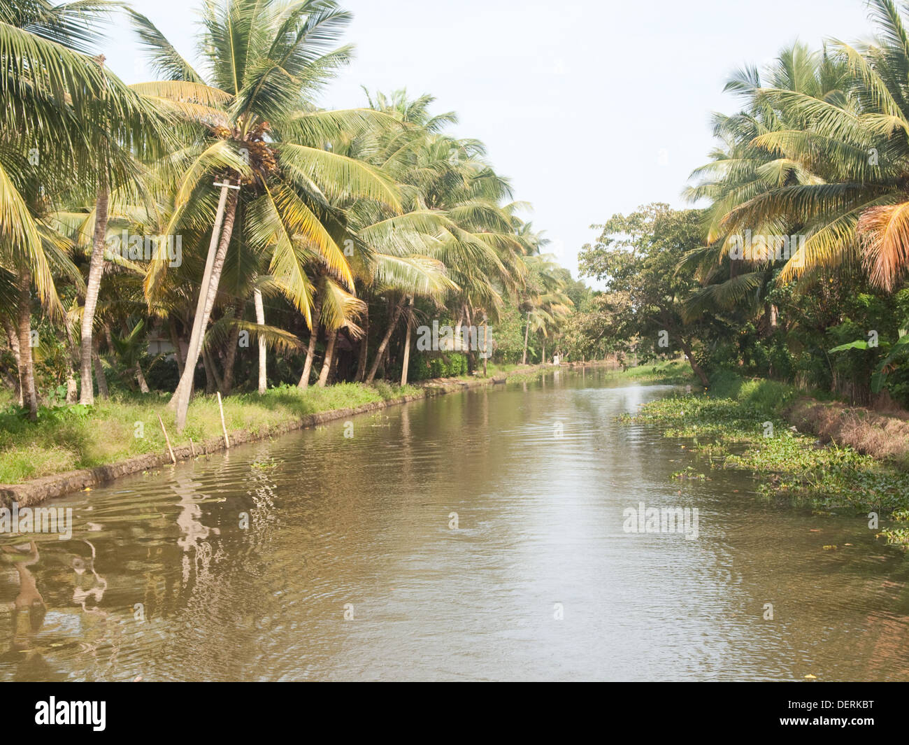 Backwaters Kerala, India Stock Photo