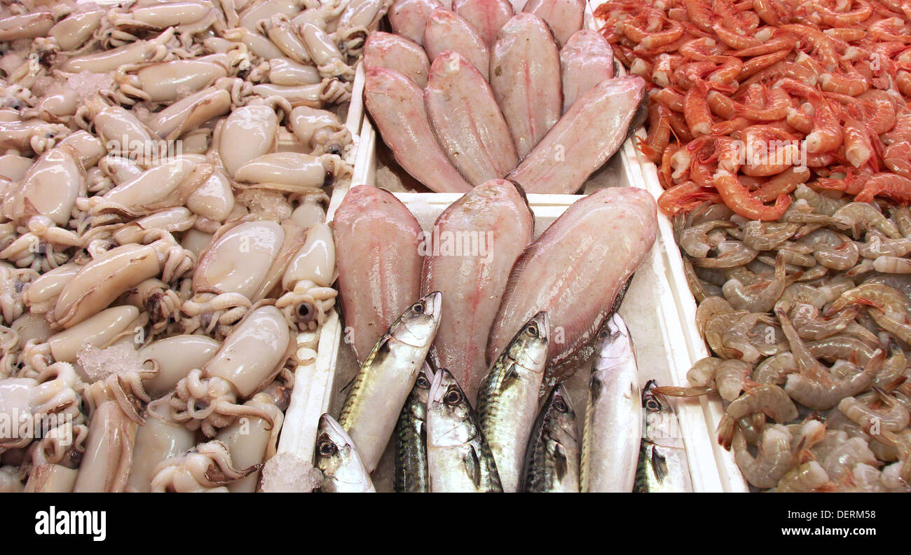 Fresh fish, cuttlefish and shrimp for sale at the fish market Stock Photo