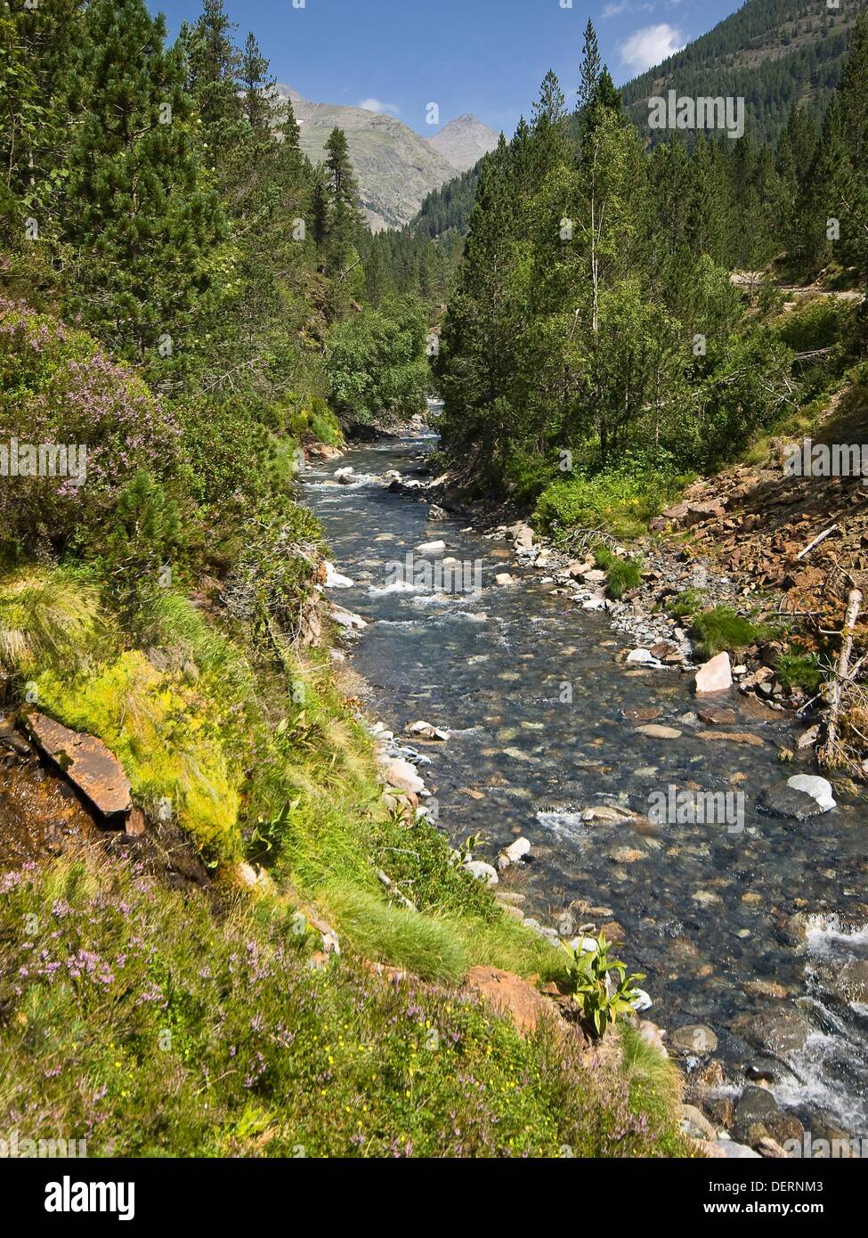Cinqueta of the Fish River, Taverns in the Valley - Valley Gistaín - Sobrarbe - Huesca - Aragon Pyrenees - Aragon - Spain Stock Photo