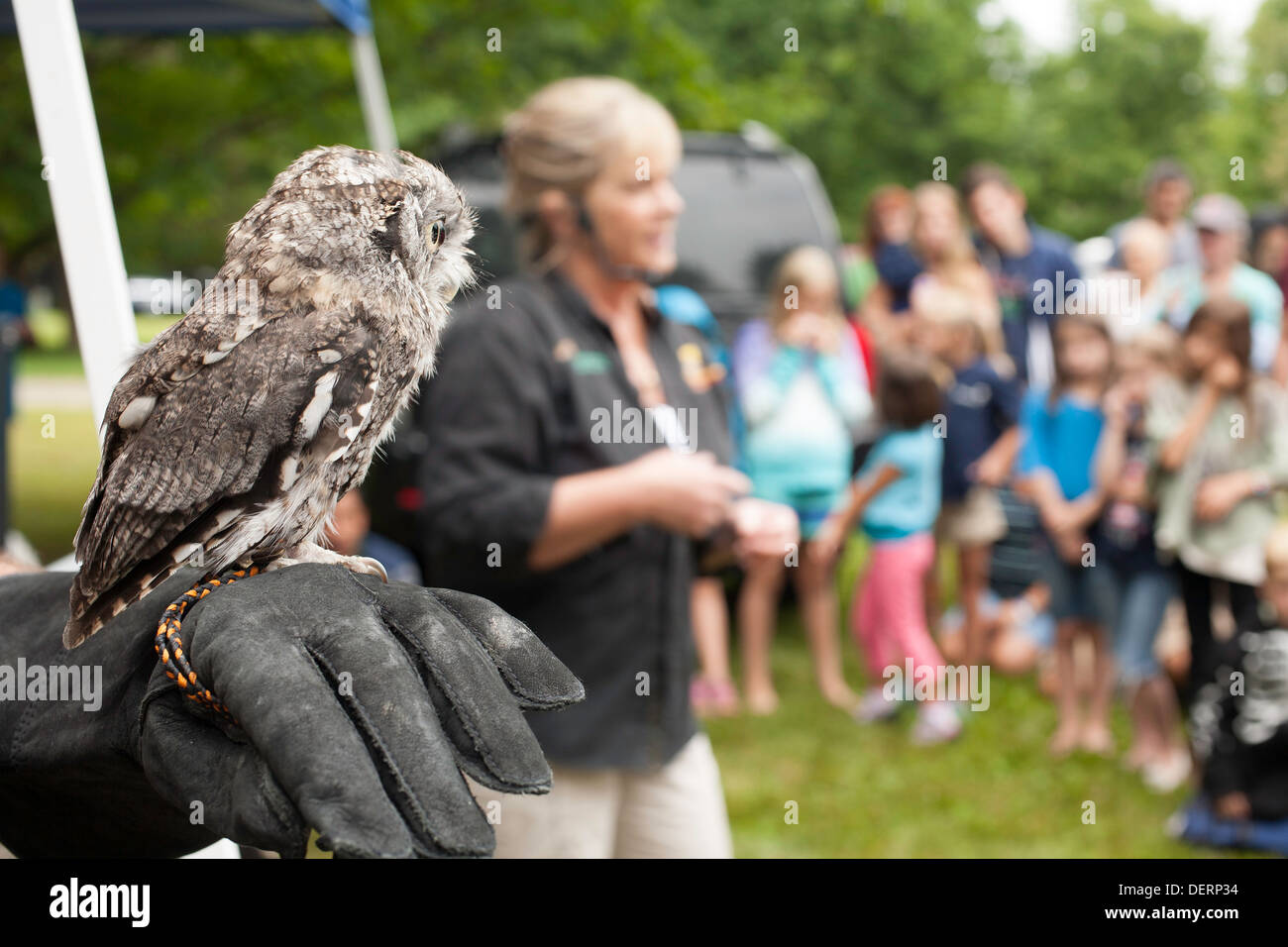 Silent Wings Raptor Rehab and Education of New York presents live bird