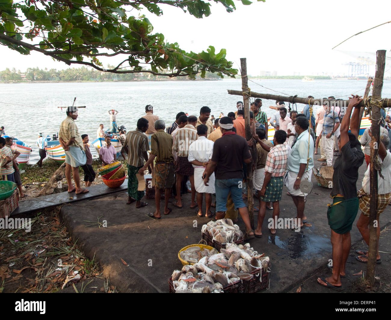 fishing men weighting fish Kerala India Stock Photo