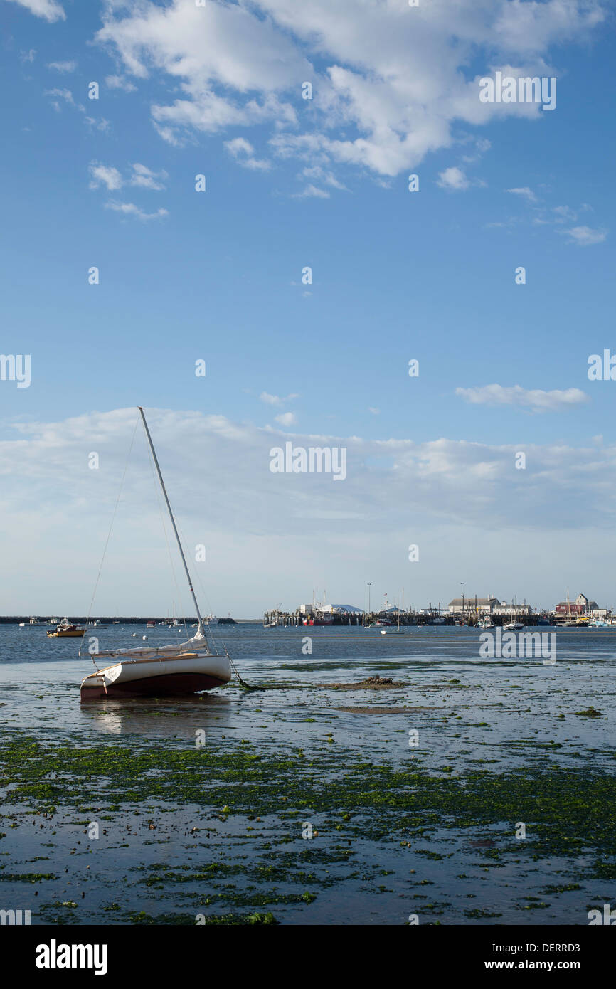 Low tide at Provincetown, Massachusetts harbor in late summer