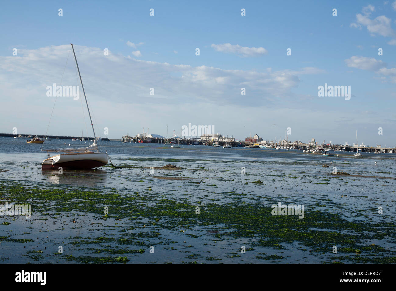 Provincetown harbor hires stock photography and images Alamy