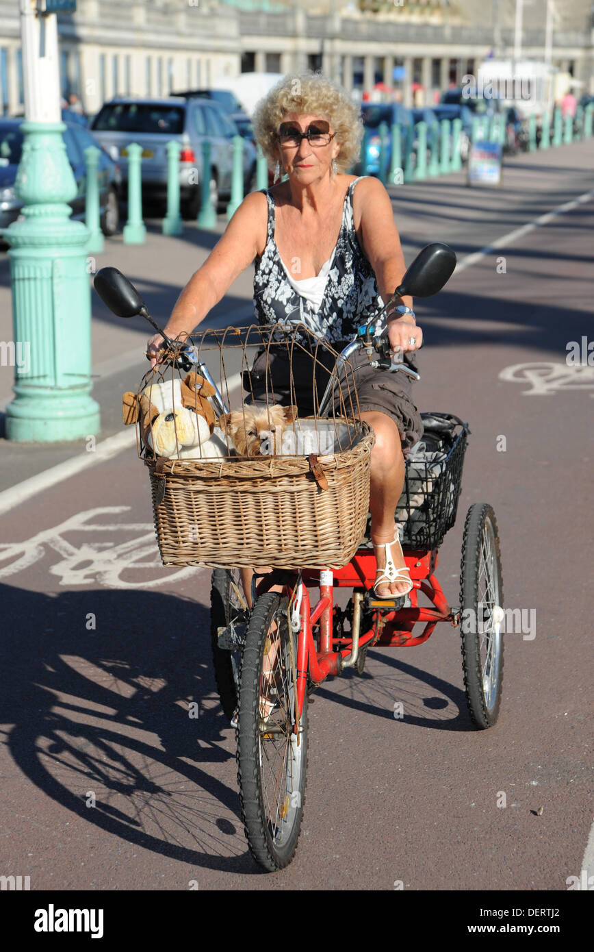 ladies tricycle with basket