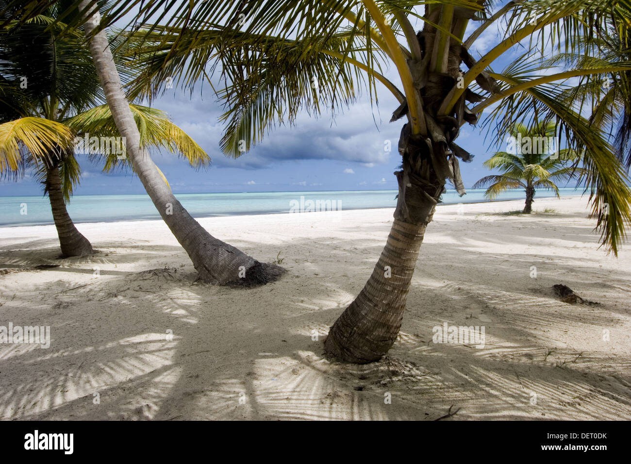 Punta Cana, Juanillo Beach, Dominican Republic Stock Photo Alamy