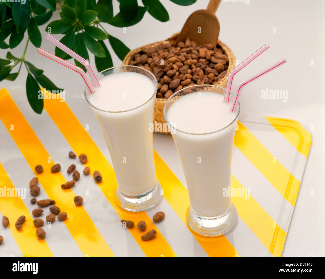 Tiger nut milk Stock Photo Alamy