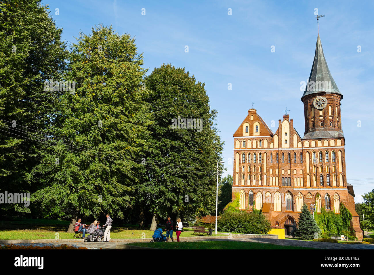 Königsberg Cathedral, Kaliningrad, Russia Stock Photo