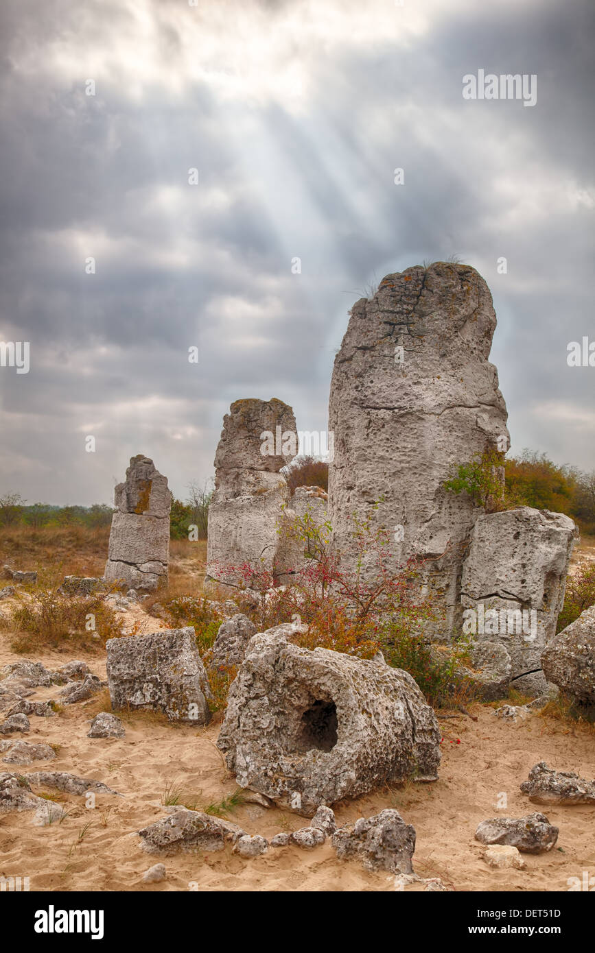 Surprising phenomenon of the nature-Stone Forest in Bulgaria. HDR image Stock Photo
