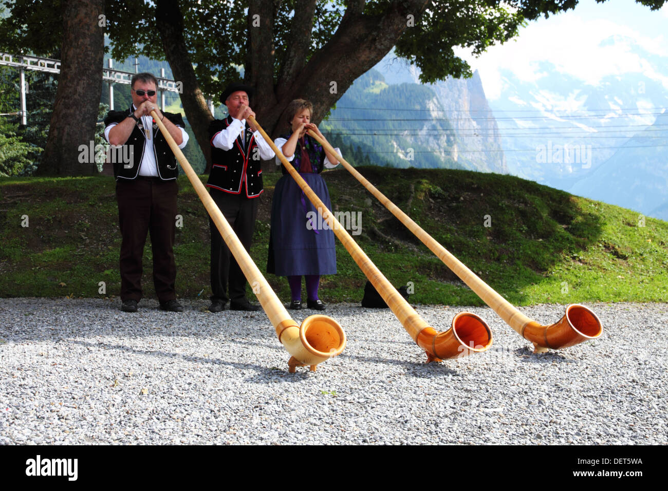 3 alphorn blowers under tree with mountains. Stock Photo