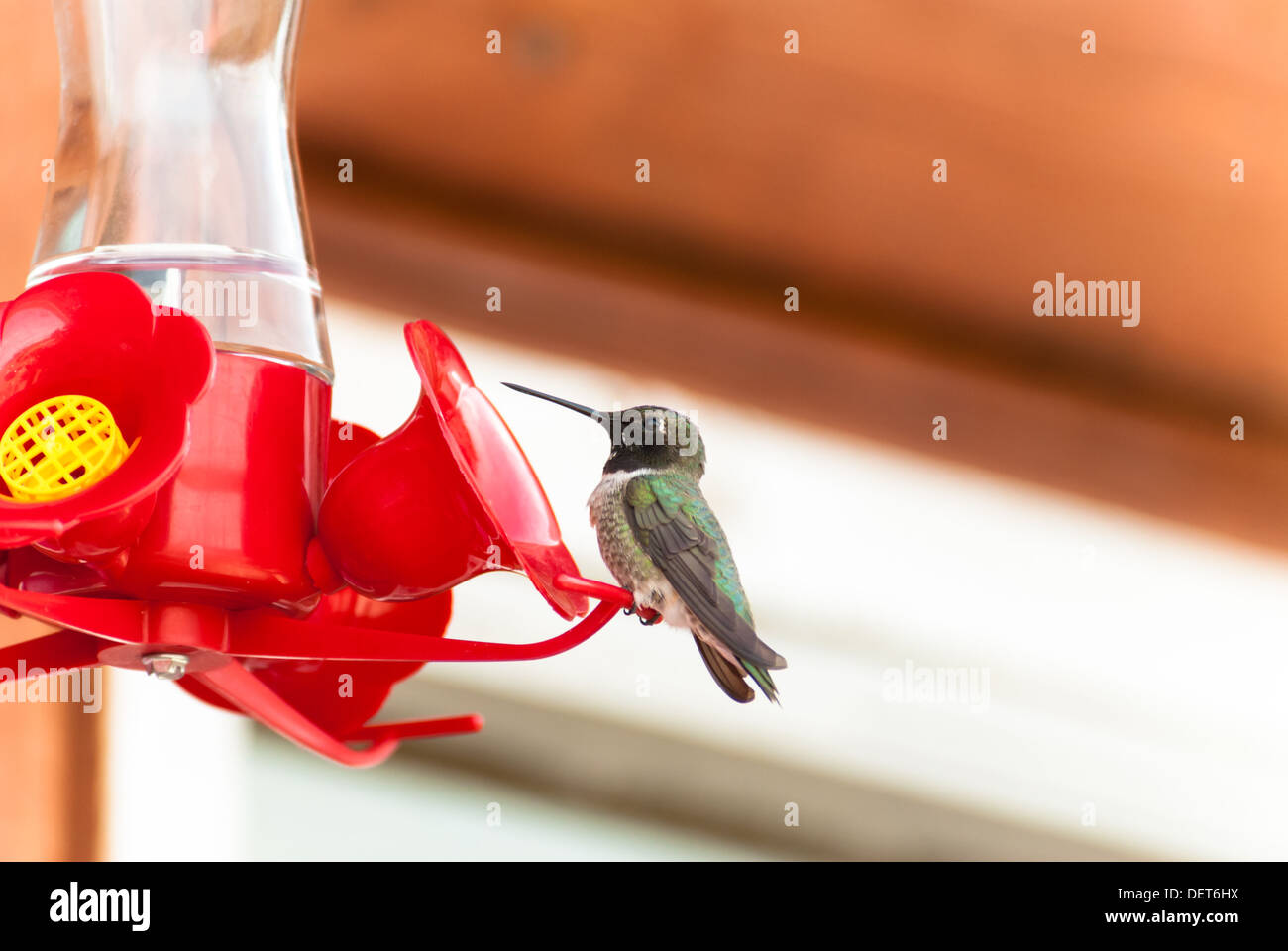 Alexis creek british columbia hires stock photography and images Alamy