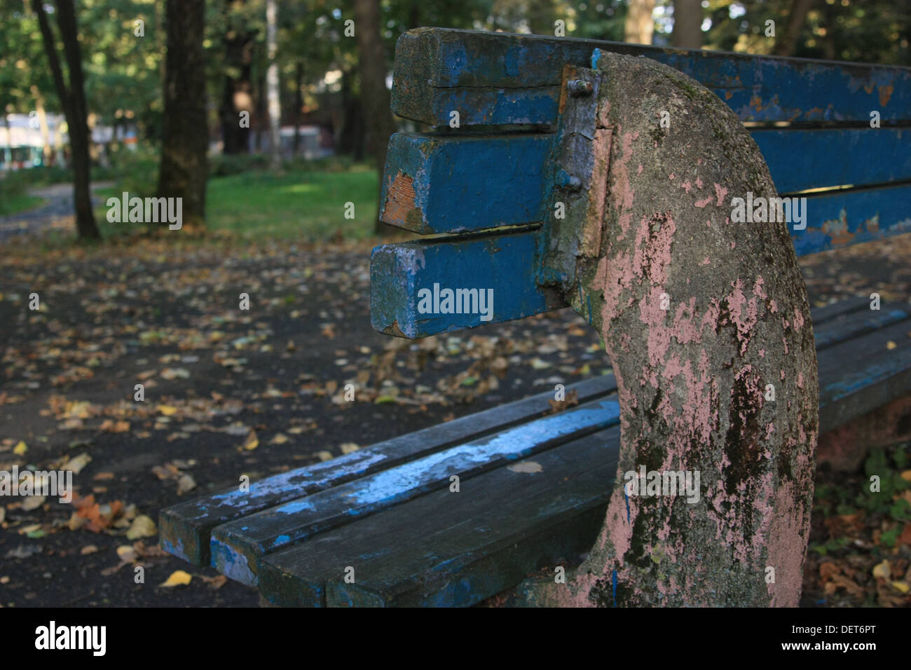 Old bench in the park in fall Stock Photo