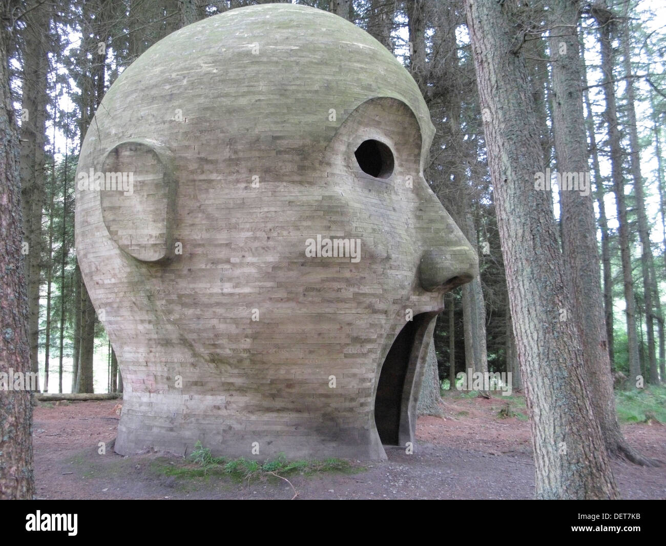 Kielder silvas capitalis hires stock photography and images Alamy