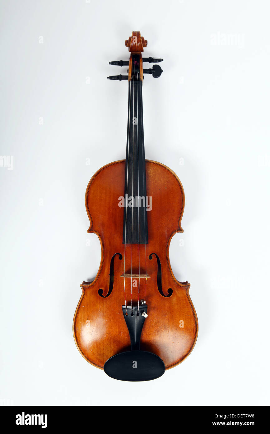 Violin full sized. Stock Photo