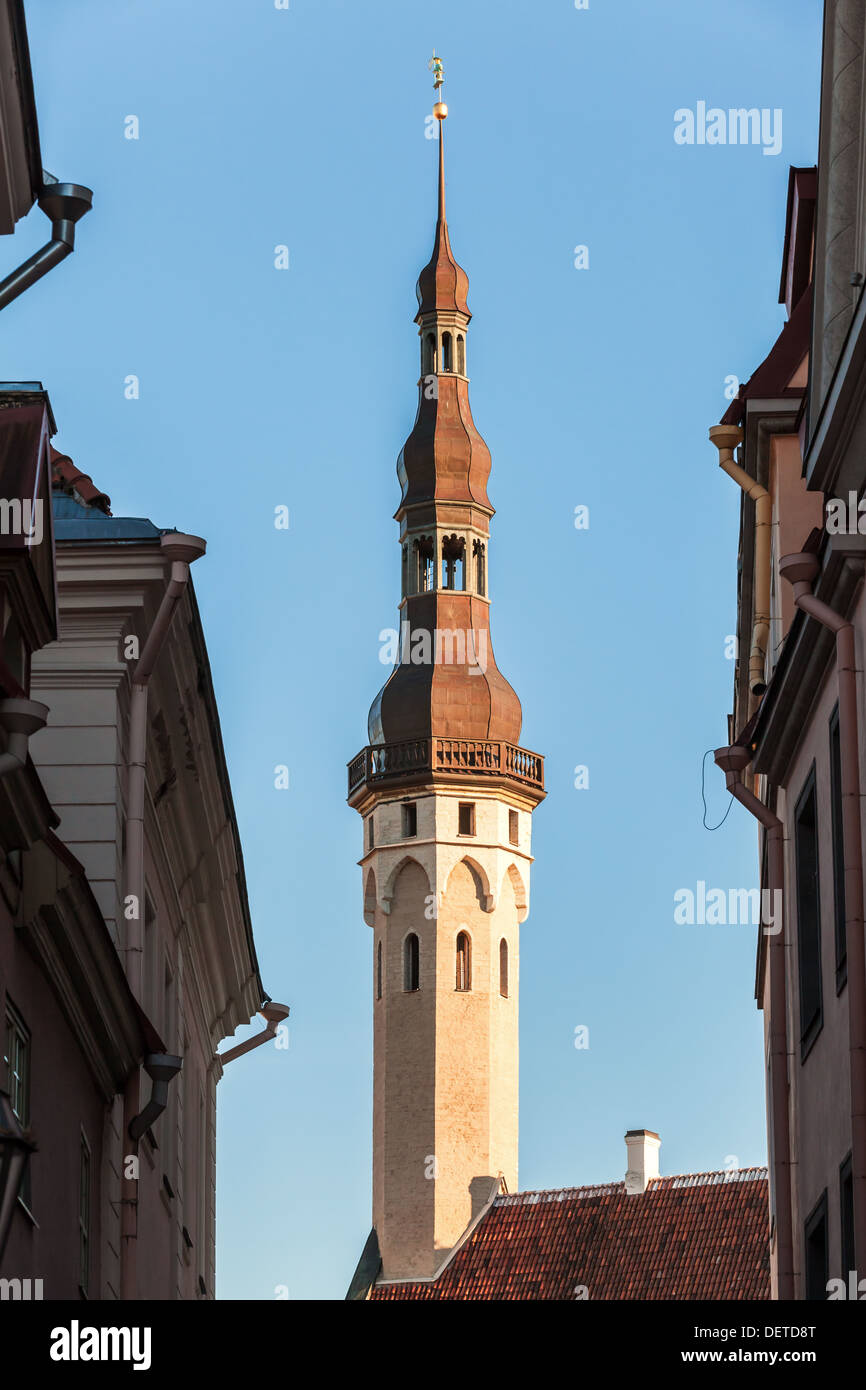 Main city landmark. Town hall tower in Tallinn, Estonia Stock Photo